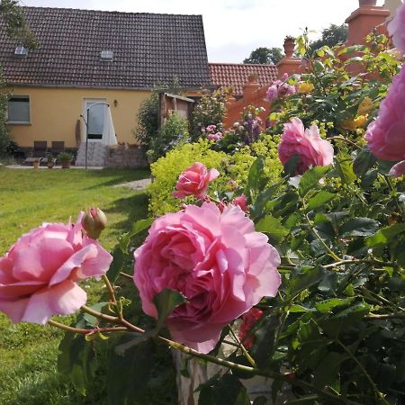 Strandhaus Mariflor Brook エクステリア 写真