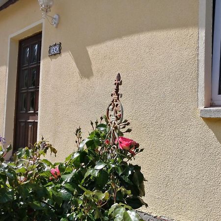 Strandhaus Mariflor Brook エクステリア 写真