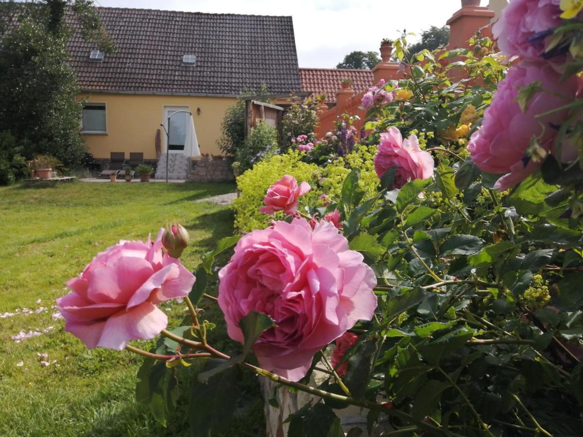 Strandhaus Mariflor Brook エクステリア 写真