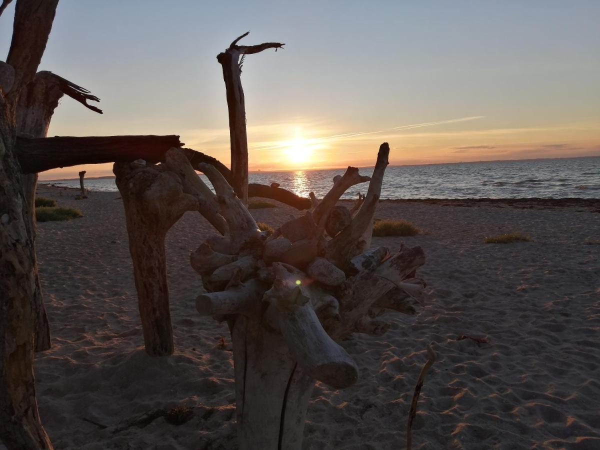 Strandhaus Mariflor Brook エクステリア 写真